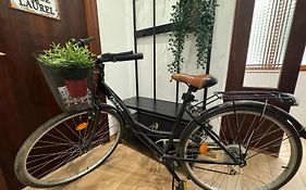 Bike Apartment Next To Cathedral And Laurel By Apartamentos Logrono Org